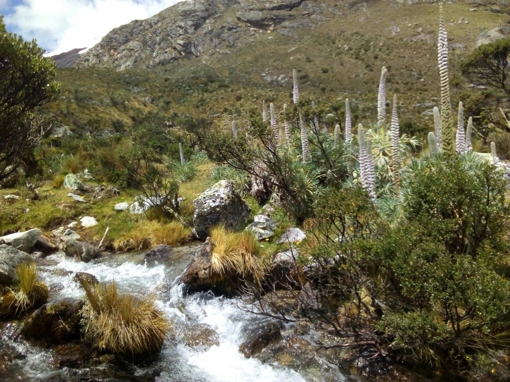 Amazing Huaraz Bed & Breakfast Exterior photo